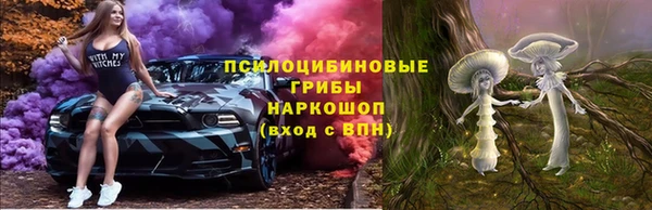 круглые Гусиноозёрск